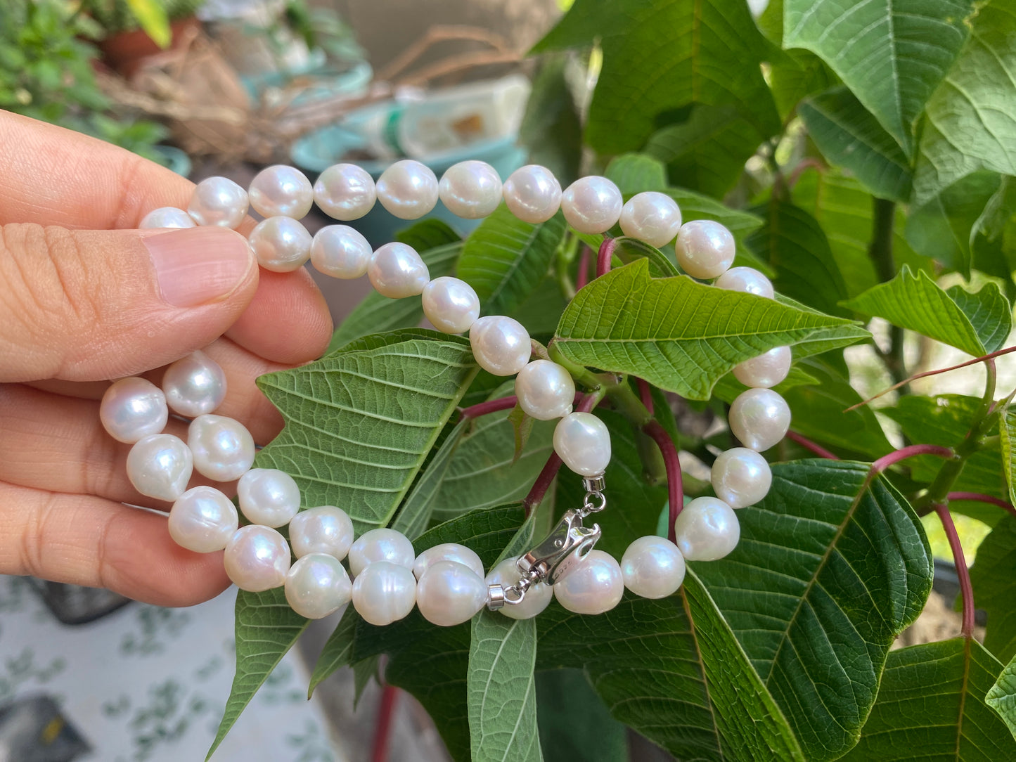 Fresh water pearl Necklace, 10mm, S925