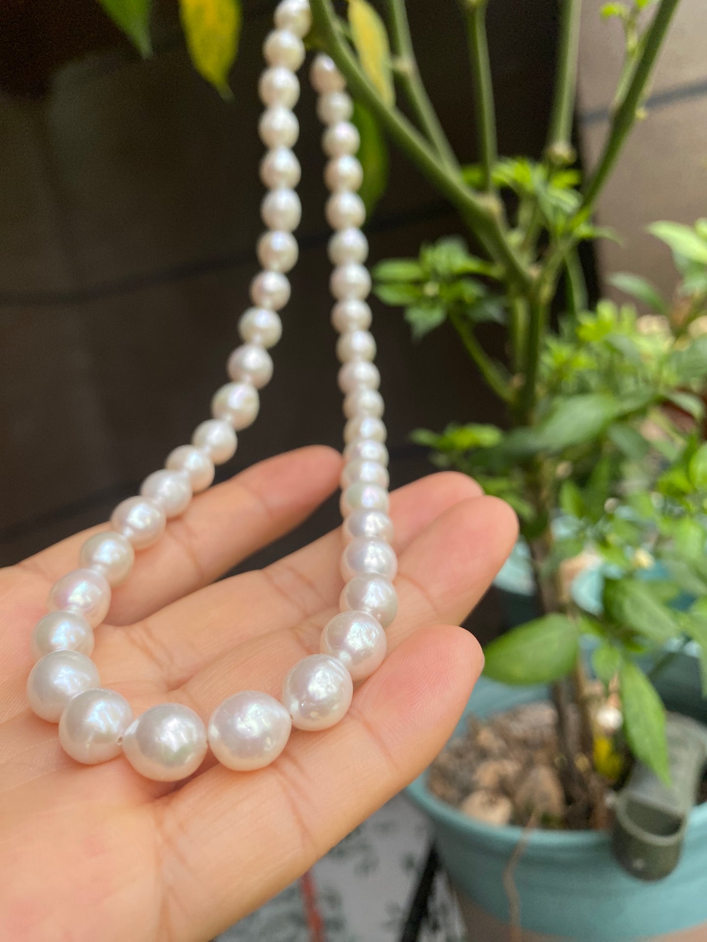 Fresh water pearl Necklace, 10mm, S925